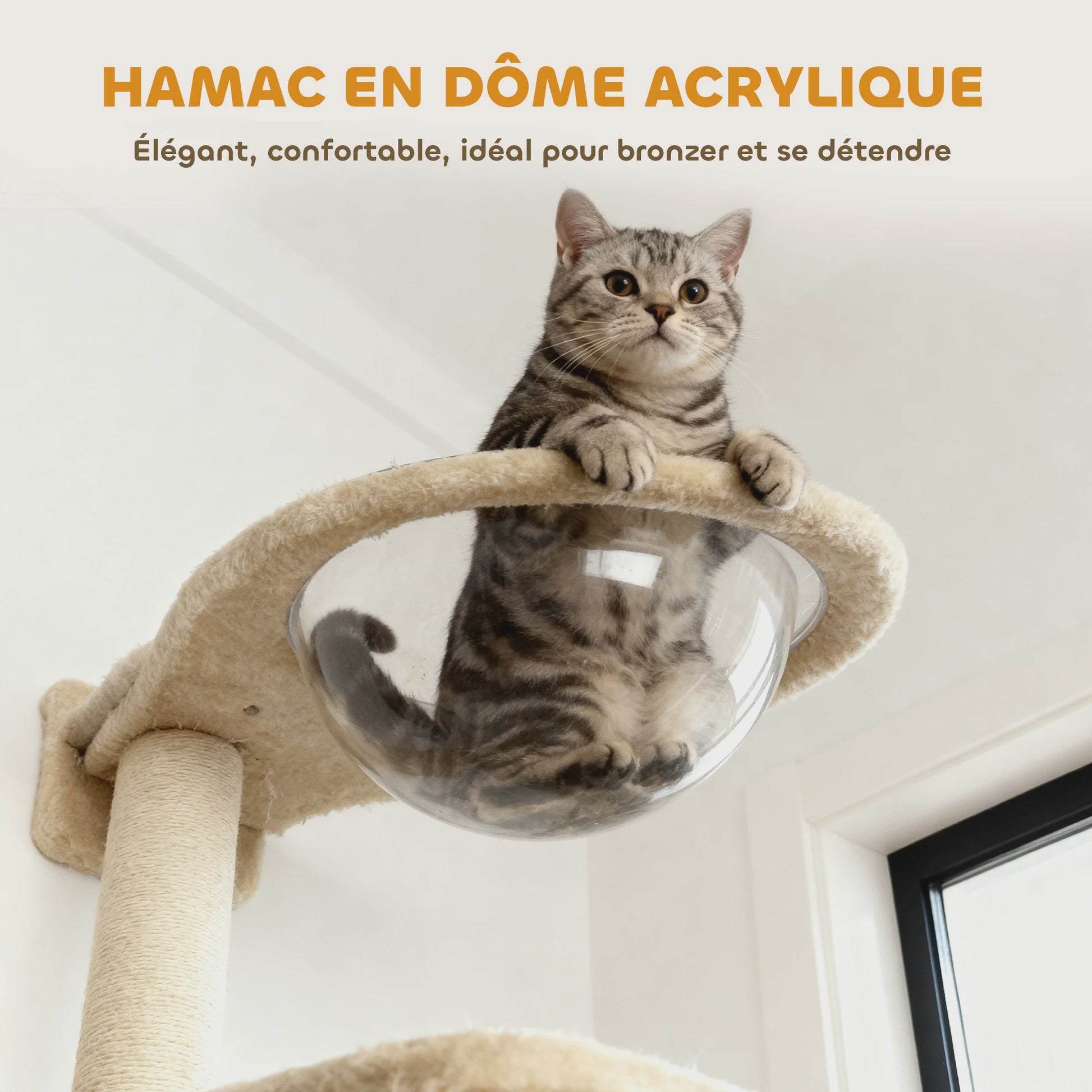 PawHut Wandmeubel voor Katten: 6-delige set met klimboom, hangmat en krabpaal