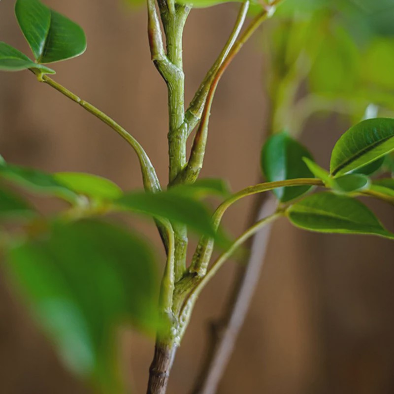 Grote Kunstplant Ficus Boom - 76-140cm - Realistische Kunst Banyan Plant met Groene Bladeren voor Huis en Tuin Decoratie