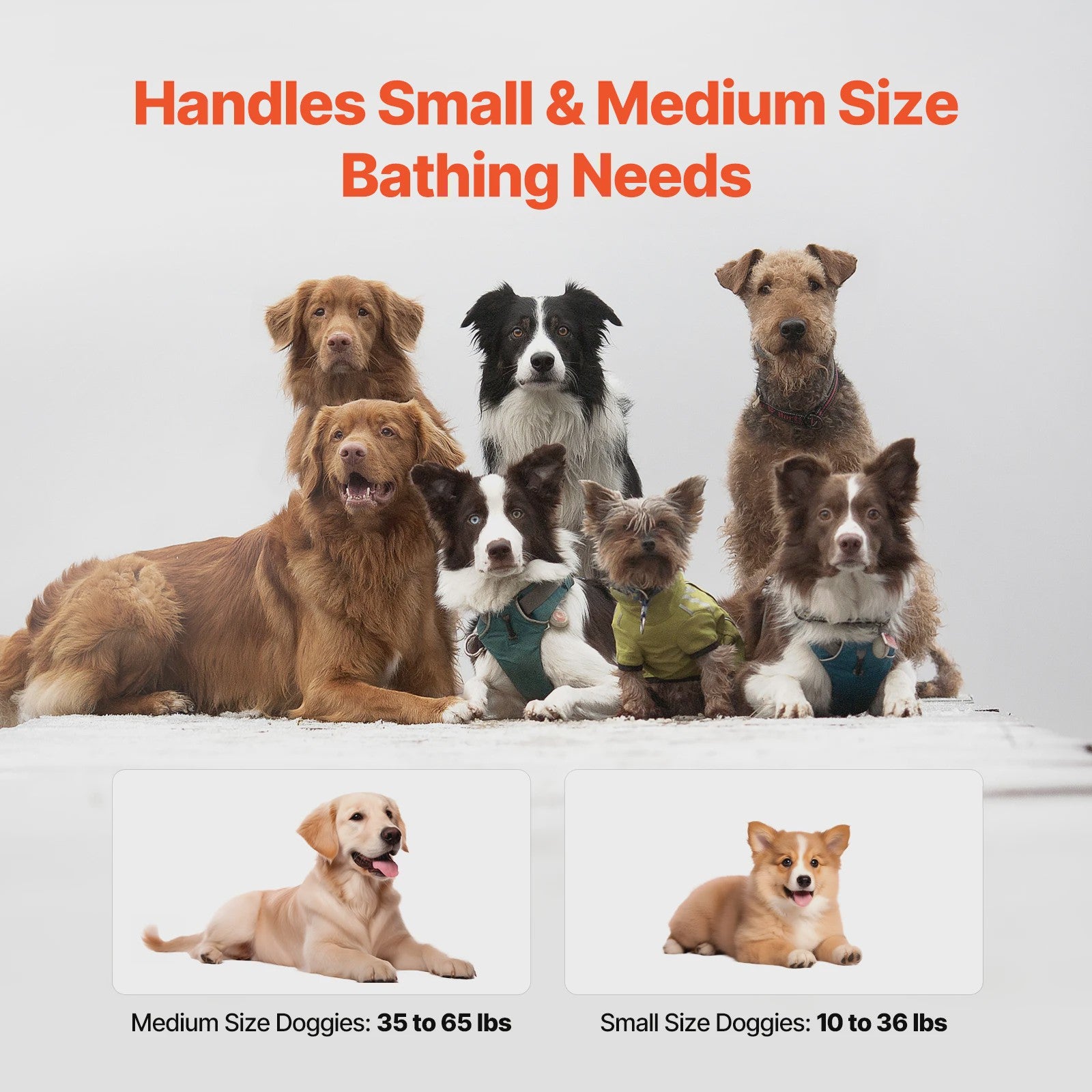 Opvouwbaar Hondendouchebad - Verhoogd & Ruimtebesparend - Ideaal voor Kleine tot Middelgrote Honden & Katten