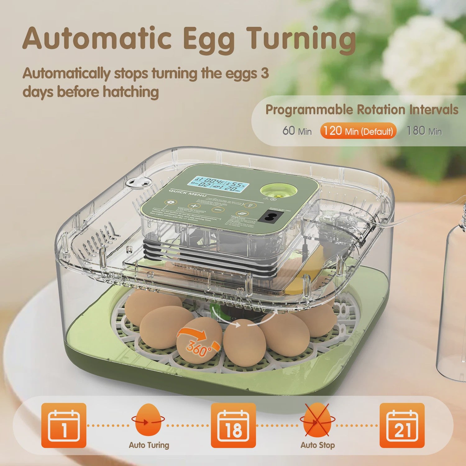 Automatische Incubator voor 12 Eieren met Temperatuur- en Vochtigheidsregeling