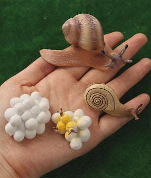 Educatieve Levenscyclus Figuren: Snail, Mantis & Sprinkhaan