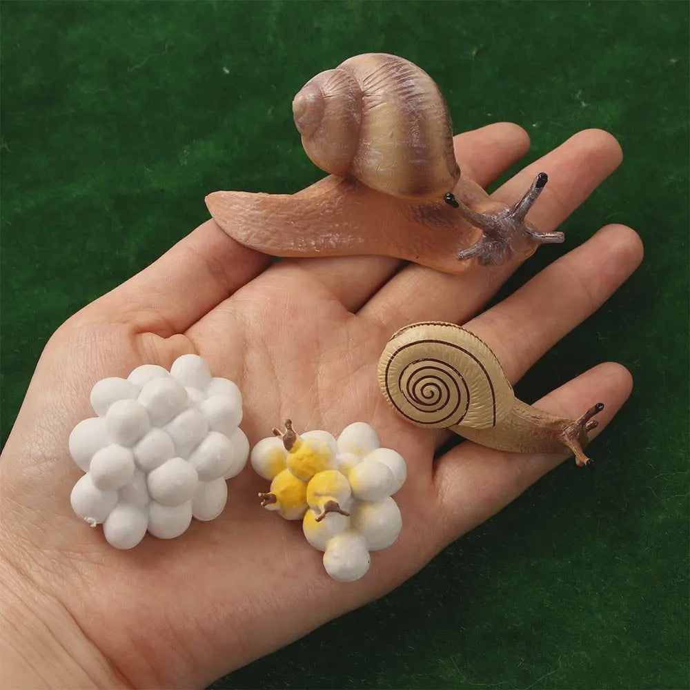 Educatieve Levenscyclus Figuren: Snail, Mantis & Sprinkhaan