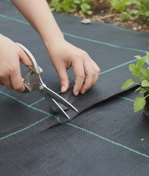 Onkruiddoek Zwart 2x50m PP - UV & Waterbestendig Bodembedekker voor Tuin, Gazon & Balkon