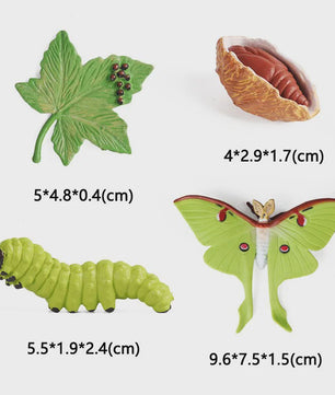 Educatieve Levenscyclus Figuren Set: Panda, Insecten, Pinguïns, Kikkers & Meer