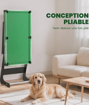 Opvouwbare Pooltafel 104cm Groen - Compleet met Accessoires