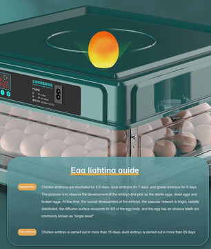 Automatische Broedmachine voor 9-48 Eieren met Constante Temperatuur & Automatische Keerfunctie