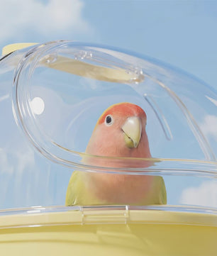 Draagbare Transparante Reiskooi voor Hamsters en Kleine Dieren met Handvat