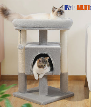 Kattenboom met Condo, Dubbele Perch en Krabpalen - Perfect voor Binnenkatten en Kittens