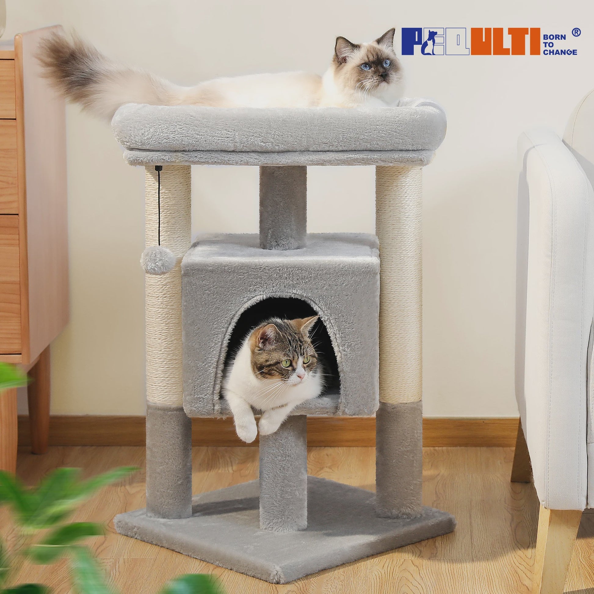 Kattenboom met Condo, Dubbele Perch en Krabpalen - Perfect voor Binnenkatten en Kittens