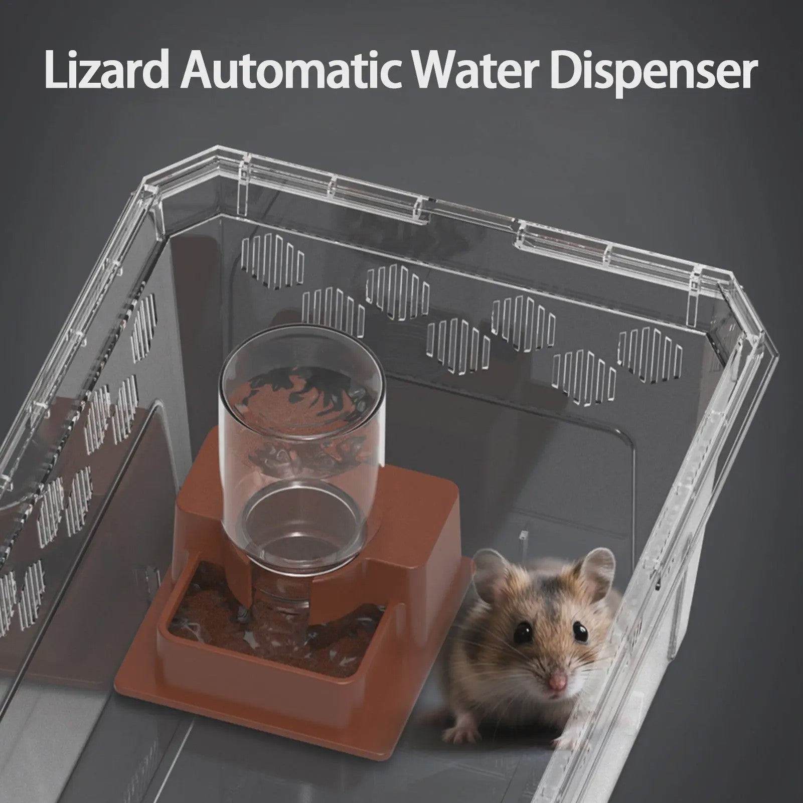 Automatische Waterdispenser voor Reptielen - Drinkbak voor Gecko, Schildpad, Hagedis
