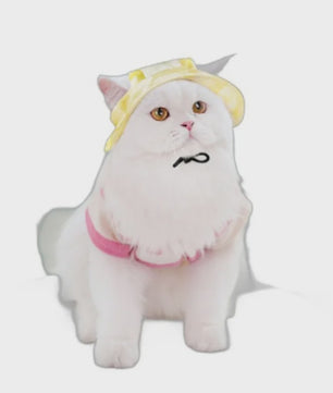 Grappige Honden- en Katten Zonnehoed met Oorgaten - Stijlvolle Tie-Dye Pet Accessoires