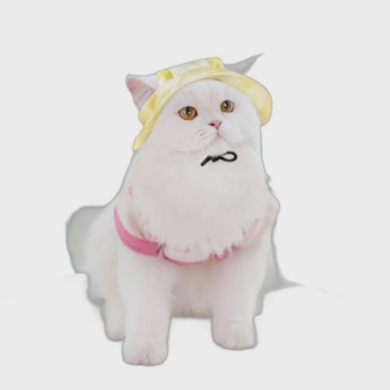 Grappige Honden- en Katten Zonnehoed met Oorgaten - Stijlvolle Tie-Dye Pet Accessoires