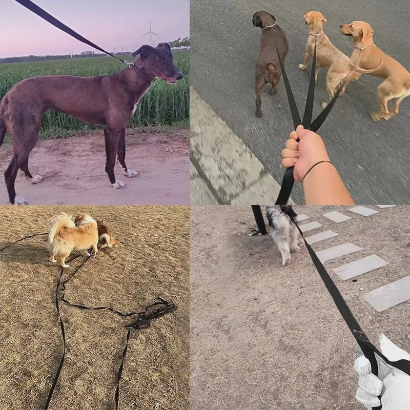 Sterke Nylon Hondenlijn - Lange Lijn voor Kleine & Grote Honden, Outdoor & Training