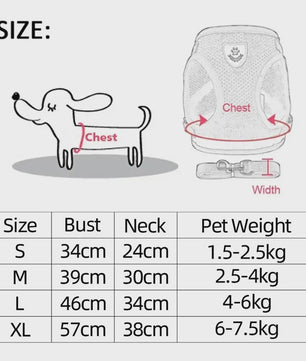 Verstelbaar Katten Tuigje met Lijn - Ademend Mesh Vest voor Kleine Honden & Katten