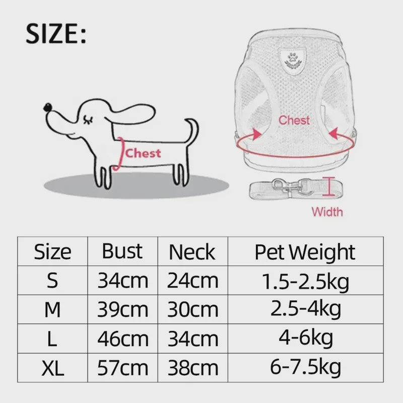Verstelbaar Katten Tuigje met Lijn - Ademend Mesh Vest voor Kleine Honden & Katten