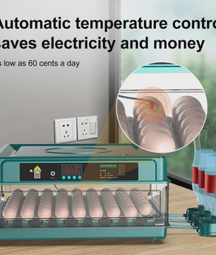 Automatische Broedmachine voor Kippen, Ganzen, Vogels & Kwartels - Enkele/Dubbele Stroom - EU Stekker