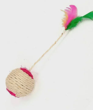 Interactieve Kattenkrabbal met Veren - Sisal Speelgoed voor Kitten