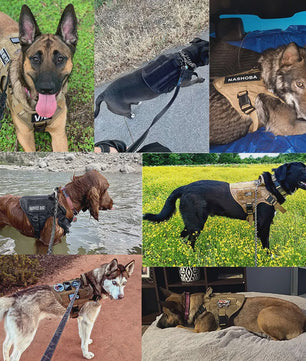 Tactisch Hondentuig voor Training & Werk - Militair Stijl Vest voor Grote Honden