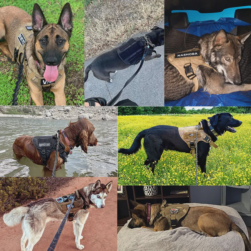 Tactisch Hondentuig voor Training & Werk - Militair Stijl Vest voor Grote Honden