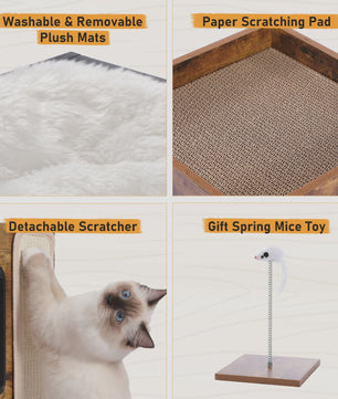 Moderne Houten Kattenboom met Krabpaal, Slaapplek en Speeltje