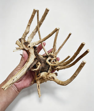 Uniek Drijfhout Decoratie voor Aquarium en Terrarium - Natuurlijke Wortelstructuren (7-26cm)