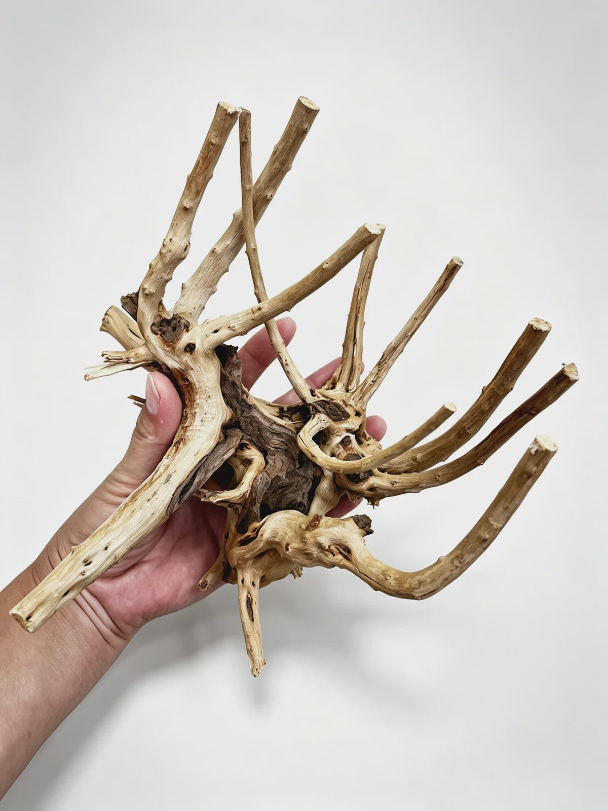 Uniek Drijfhout Decoratie voor Aquarium en Terrarium - Natuurlijke Wortelstructuren (7-26cm)