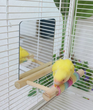 Vogel Speeltoren met Spiegel en Jute Touw - Klimmen, Kauwen & Pootverzorging voor Papegaaien