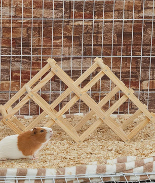 Houten Klimspeelgoed voor Hamsters en Kleine Dieren - Natuurlijk & Veilig
