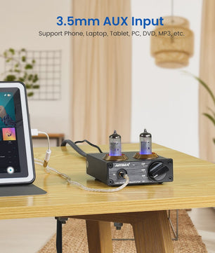 AIYIMA T3 HiFi Vacuum Tube Phono Preamplifier voor Platenspeler