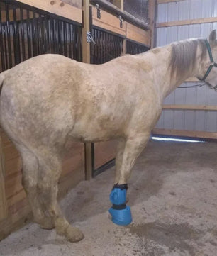 Paardenhoef Soak Boot - Gemakkelijk Gebruik voor Hoefverzorging & Behandeling