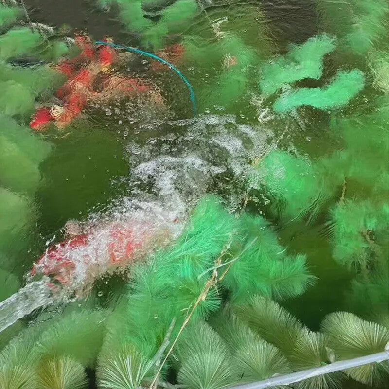 Vijver Kweekborstel - Ideale Broedplek voor Vis Eieren & Koi