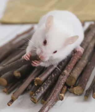 Natuurlijk Houten Speelgoed Set voor Knaagdieren, Konijnen & Hamsters - Kauwspeelgoed met Bel & Bal