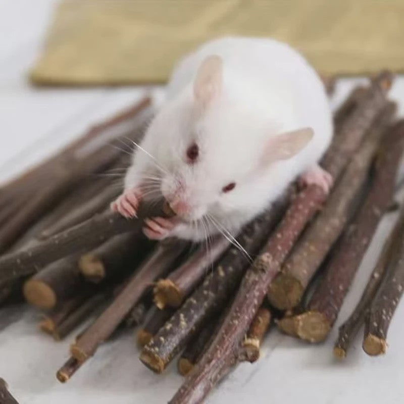 Natuurlijk Houten Speelgoed Set voor Knaagdieren, Konijnen & Hamsters - Kauwspeelgoed met Bel & Bal