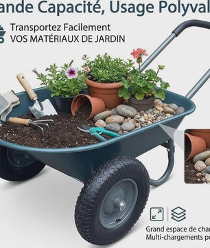 Stevige 2-wiel kruiwagen voor tuin en buiten – 120 kg capaciteit, ijzeren bak & kunststof