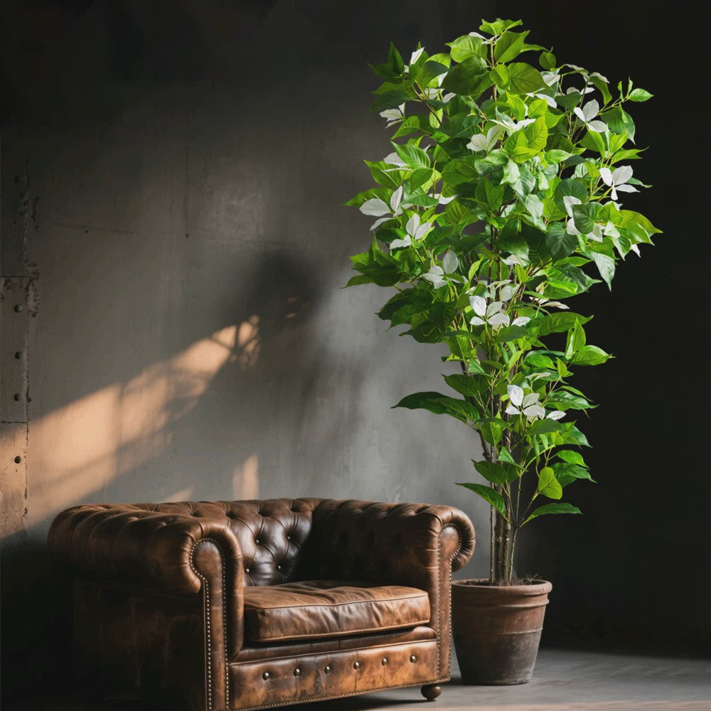 Grote Kunstboom Ficus Magnolia Banyan Nandina - 82-144cm