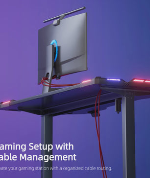 Elektrisch Verstelbaar Gaming Bureau met LED Verlichting en Carbon Fiber Oppervlak - Sit-Stand Werkstation
