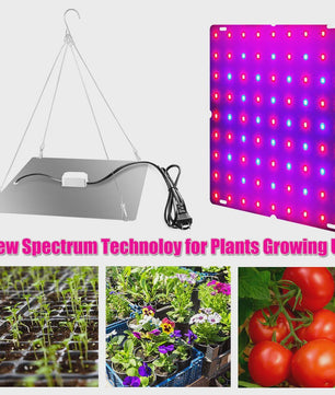 Krachtige LED Plantengroeilamp Full Spectrum 81/169 LEDs voor Hydroponics