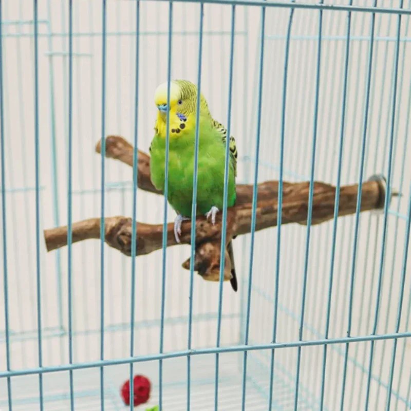Natuurlijke Grapewood Zitstok voor Papegaaien & Parkieten - Knaag- en Klimspeelgoed