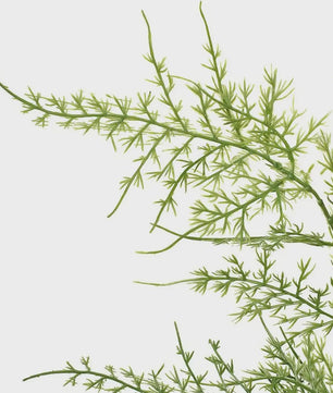 Set van 4 Kunst ASPERGE Varens Takken - 97cm Groen Decoratief
