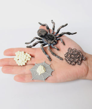 Montessori Levenscyclus Insecten Speelgoed: Spin, Duizendpoot, Schorpioen & Mier