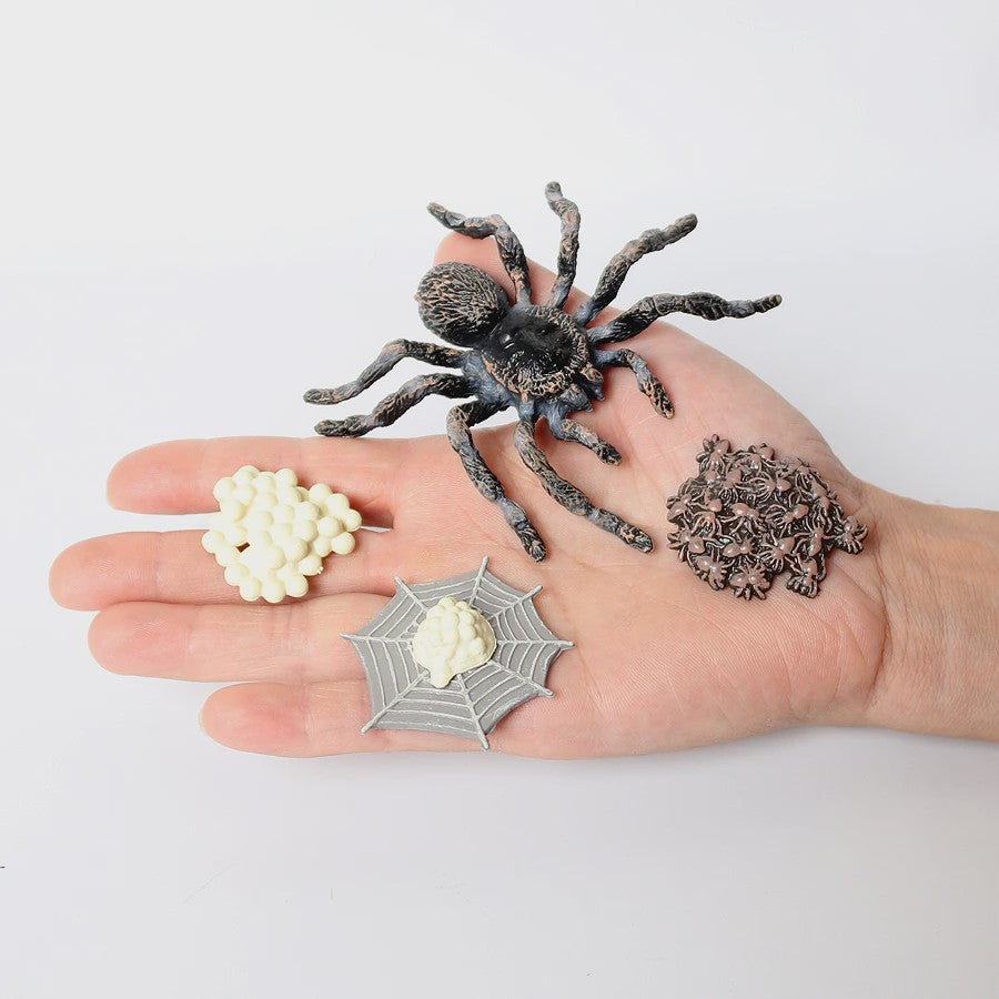 Montessori Levenscyclus Insecten Speelgoed: Spin, Duizendpoot, Schorpioen & Mier