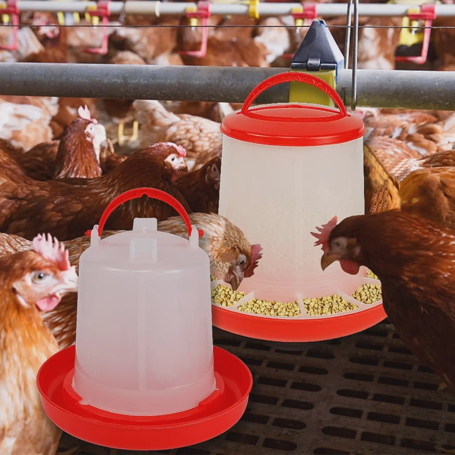 Automatische Kip Voerbak en Waterbak - Handige Dispenser voor Pluimvee