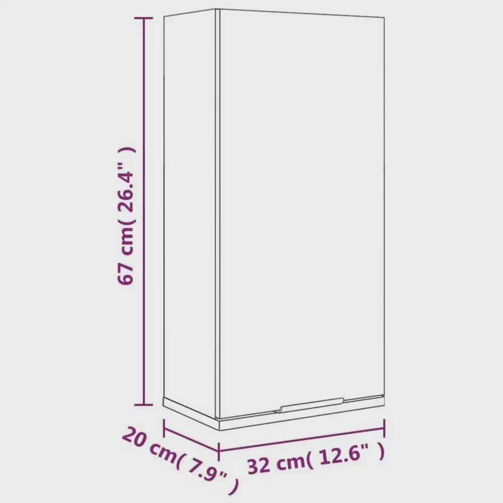 Sonoma Wandkast Grijs met Spiegeldeur - 32x20x67 cm