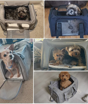 Draagbare Reistas voor Hond en Kat - Airline Approved Reismand