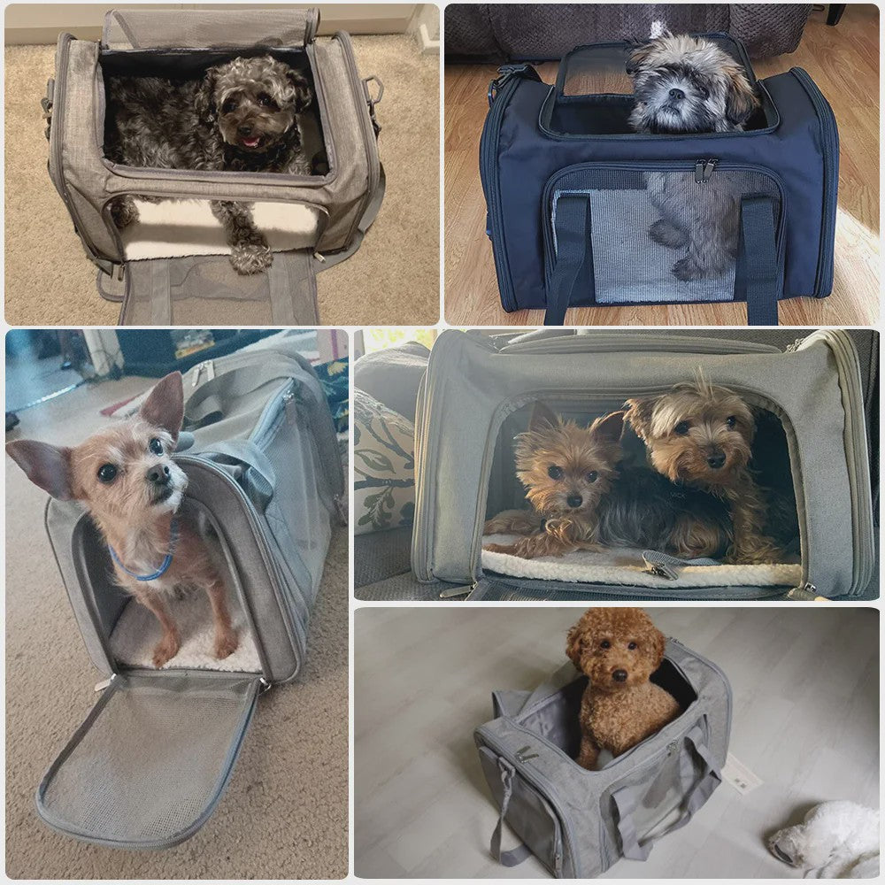 Draagbare Reistas voor Hond en Kat - Airline Approved Reismand