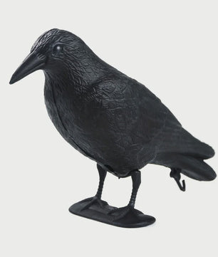 Realistische Zwarte Kraai Decoratie & Vogelverschrikker - Tuin & Buiten