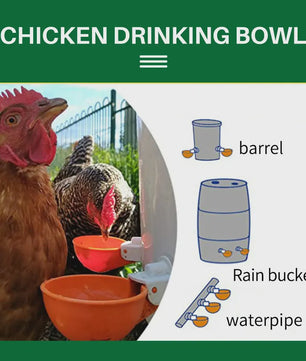Automatische Drinkbakjes voor Kippen, Quails, Eenden & Duiven (Set van 5/10/20)