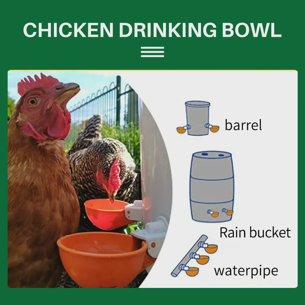 Automatische Drinkbakjes voor Kippen, Quails, Eenden & Duiven (Set van 5/10/20)