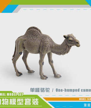 Realistische Dromedaris & Baktriaanse Kameel Figuren - Desktop Ornament