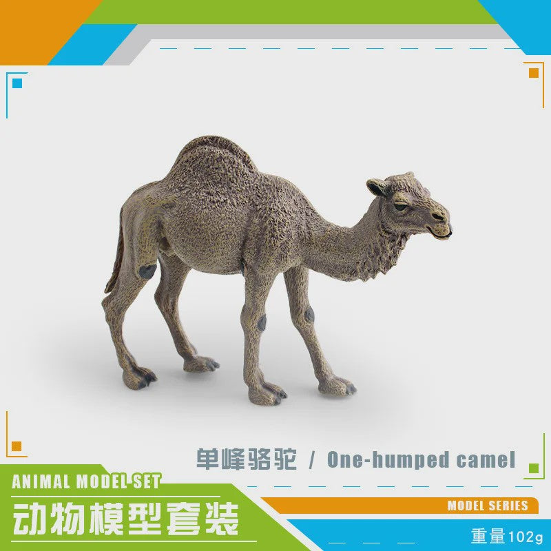 Realistische Dromedaris & Baktriaanse Kameel Figuren - Desktop Ornament